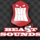 Concert Beast Sounds @ Brasov / 02.08.2011