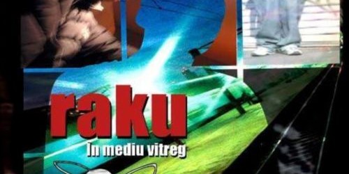 video: Raku – nimic d. pierdut