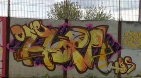 HOPA!