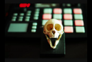 gAZAh feat. Junk & Samurai – Ce te face