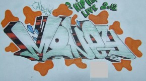 Voteaza-ti schita favorita!