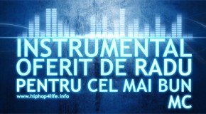 concurs: Castiga instrumentale oferite de Radu!