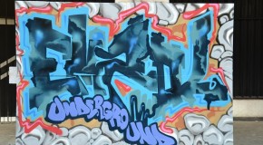 Graffiti: EMZOL – Interviu: poze si impresii de la Ars Urbana 2012